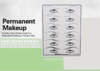 Λαστιχένιο μόνιμο δέρμα πρακτικής Makeup για το φρύδι &amp; τη δερματοστιξία Eyeliner