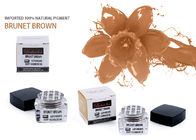 Ασφαλής χρωστική ουσία δερματοστιξιών φρυδιών Brunet καφετιές μόνιμες Makeup χρωστικές ουσίες 5 μιλ.