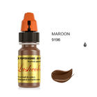 Νανο χρωστικές ουσίες δερματοστιξιών φρυδιών Lushcolor για ημι μόνιμο Makeup