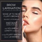 Λουξ Brow ελασματοποίησης στιγμιαίο πληρέστερο μαστίγιο Makeup εξαρτήσεων μόνιμο