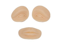 Διαλύσιμα μάτια/κεφάλι πρακτικής στοματικού μόνιμο Makeup πρότυπο με το CE